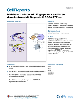 Multivalent Chromatin Engagement and Inter-Domain Crosstalk Regulate MORC3 Atpase