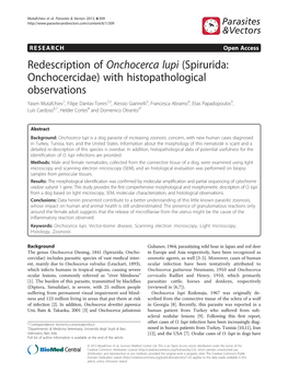 Redescription of Onchocerca Lupi (Spirurida: Onchocercidae) With