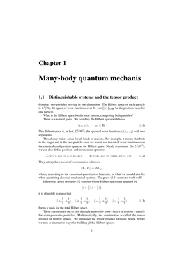 Many-Body Quantum Mechanis