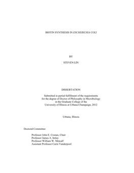 Biotin Synthesis in Escherichia Coli by Steven