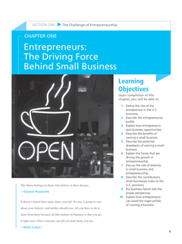 Entrepreneurs: the Driving Force Behind Small Business