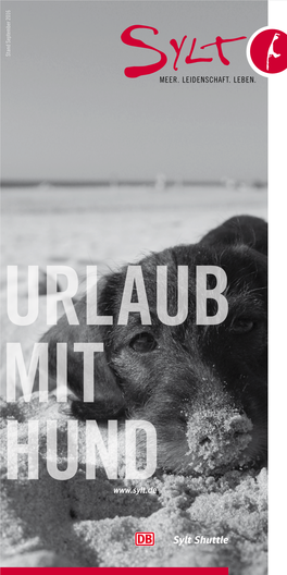 Urlaub Mit Hund