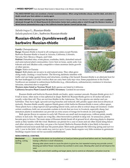 Salsola Tragus L.; Russian-Thistle Salsola Paulsenii Litv.; Barbwire Russian-Thistle Russian-Thistle (Tumbleweed) and Barbwire Russian-Thistle