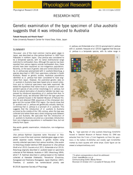 Genetic Examination of the Type Specimen of Ulva Australis Suggests That It Was Introduced to Australia: Genetic Analysis Of