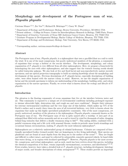 Morphology and Development of the Portuguese Man of War, Physalia Physalis