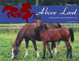 Above Level Celebrating All the American Saddlebred Can Do! in This Issue