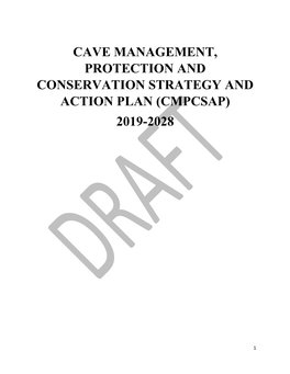 Cave Management, Protection and Conservation Strategy and Action Plan (Cmpcsap) 2019-2028