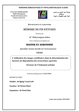 Mémoire De Fin D'études