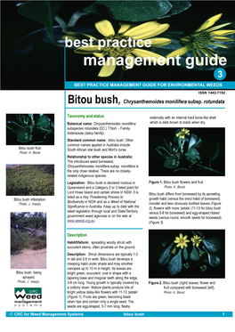 Best Practice Management Guide Bitou Bush, Chrysanthemoides