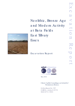 Neolithic, Bronze Age and Modern Activity at Bata Fields East Tilbury