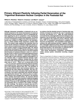 Primary Afferent Plasticity Following Partial Denervation of the Trigeminal Brainstem Nuclear Complex in the Postnatal Rat