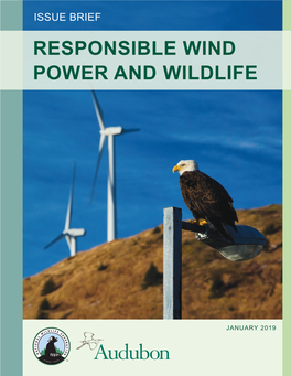 Responsible Wind Power and Wildlife