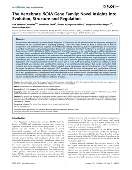 The Vertebrate RCAN Gene Family: Novel Insights Into Evolution, Structure and Regulation