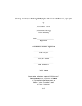 Diversity and Effects of the Fungal Endophytes of the Liverwort Marchantia Polymorpha