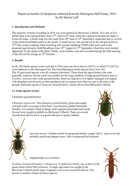 Report on Beetles (Coleoptera) Collected from the Dartington Hall Estate, 2016 by Dr Martin Luff