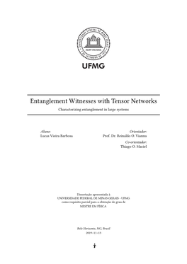 Entanglement Witnesses with Tensor Networks Characterizing Entanglement in Large Systems