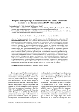 Filogenia De Hongos Roya (Uredinales) En La Zona Andina Colombiana Mediante El Uso De Secuencias Del ADN Ribosomal 28S