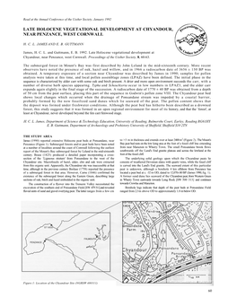 Late Holocene Vegetational Development at Chyandour, Near Penzance, West Cornwall