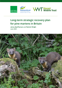 Long-Term Strategic Recovery Plan for Pine Martens in Britain