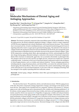 Molecular Mechanisms of Dermal Aging and Antiaging Approaches