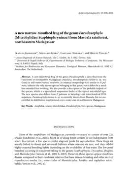 A New Narrow-Mouthed Frog of the Genus Paradoxophyla (Microhylidae: Scaphiophryninae) from Masoala Rainforest, Northeastern Madagascar