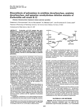 Biosynthesis of Polyamines in Ornithine Decarboxylase, Arginine