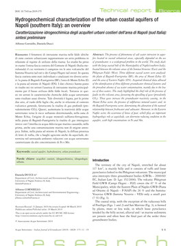 Hydrogeochemical Characterization of the Urban Coastal Aquifers of Napoli