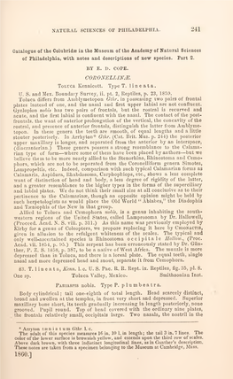 Proceedings of the Academy of Natural Sciences of Philadelphia