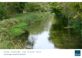 Parkstream , Therivertest