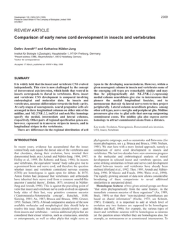 Comparison of Nerve Cord Development in Insects and That Chordates, During Their Evolution, Have Inverted Their Vertebrates