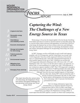Capturing the Wind: the Challenges of a New Energy Source in Texas 3