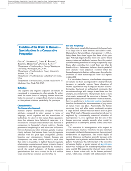 Evolution of the Brain: in Humans – Specializations in a Comparative Perspective