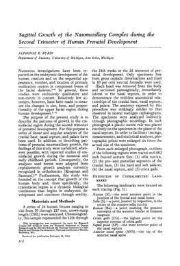 Sagittal Growth of the Nasomaxillary Complexduring