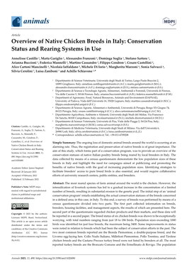 Overview of Native Chicken Breeds in Italy: Conservation Status and Rearing Systems in Use