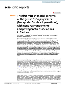 The First Mitochondrial Genome of the Genus Exhippolysmata (Decapoda