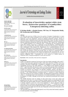 Evaluation of Insecticides Against White Stem Borer, Xylotrechus