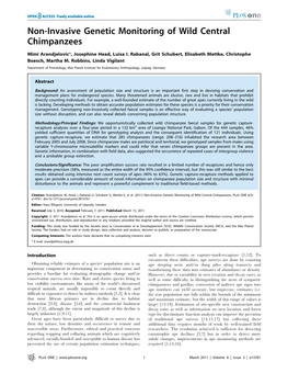 Non-Invasive Genetic Monitoring of Wild Central Chimpanzees