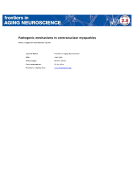 Pathogenic Mechanisms in Centronuclear Myopathies