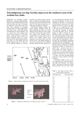 Non-Indigenous Sea Slug Tenellia Adspersa in the Southeast Coast of the Arabian Sea, India