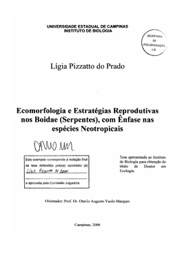 Prado Ligiapizzattodo D.Pdf