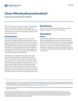 Clover Mite Bryobia Praetiosakoch1 Celina Gomez and Russell F