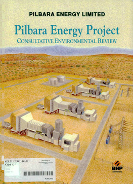 Pilbara Energyparoject CONSULTATIVE ENVIRONMENTAL REVIEW