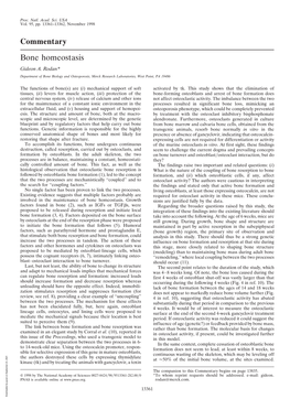 Commentary Bone Homeostasis