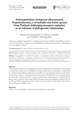 Architrypethelium Murisporum (Ascomycota, Trypetheliaceae), A