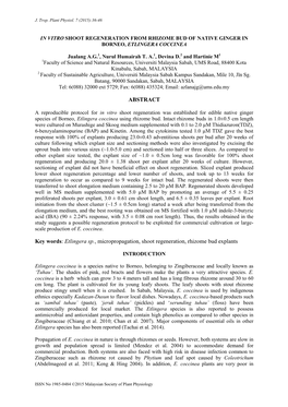 Etlingera Sp., Micropropagation, Shoot Regeneration, Rhizome Bud Explants