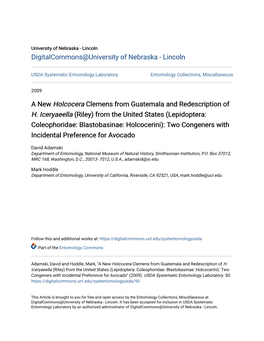 A New Holcocera Clemens from Guatemala and Redescription of H. Iceryaeella