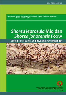 Shorea Johorensis Foxw Shorea Leprosula Miq