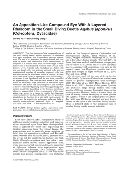 An Appositionlike Compound Eye with a Layered Rhabdom in the Small