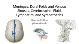 Meninges, Dural Folds and Venous Sinuses, Cerebrospinal Fluid, Lymphatics, and Sympathetics Shannon Helbling Gillshan@Iu.Edu Lecture Overview