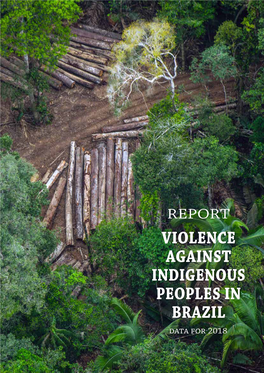 REPORT VIOLENCE AGAINST INDIGENOUS PEOPLES in BRAZIL Data for 2018